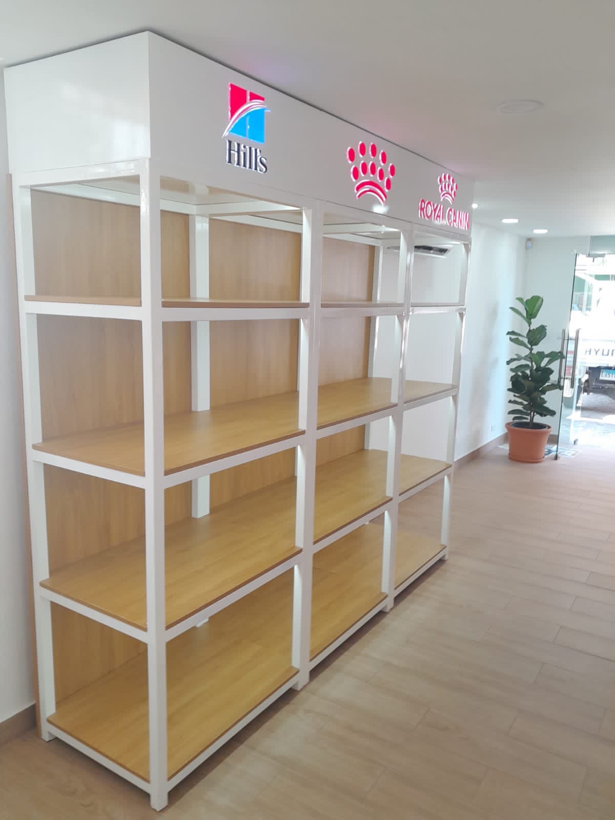 Proyecto de exhibición y visual merchandising